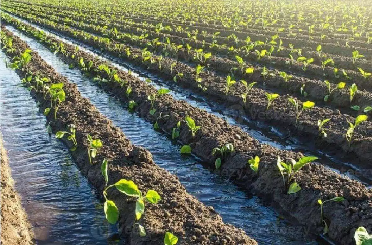 Rejoignez AGRIFORLAND