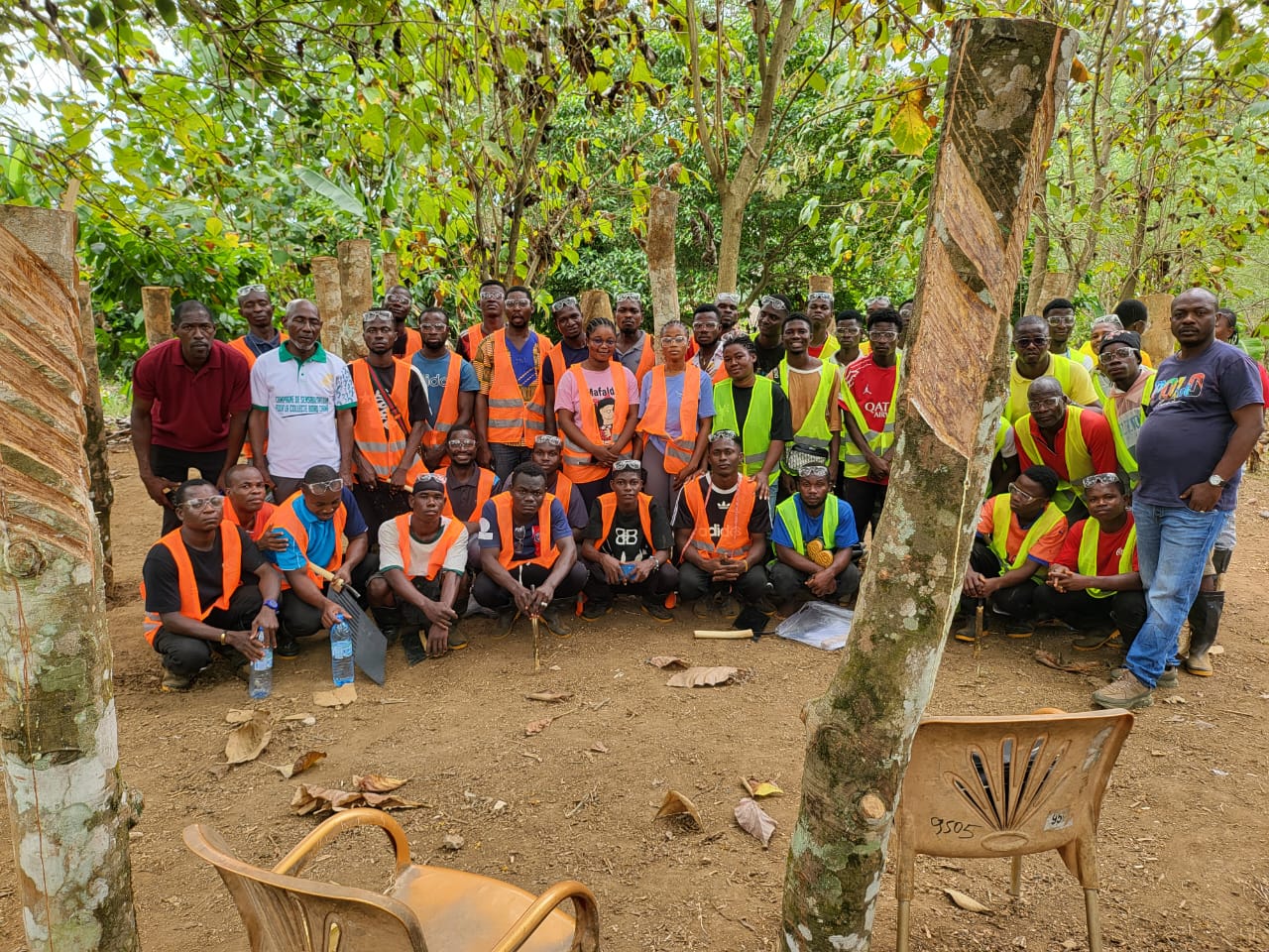 FORMATION DES SAIGNEURS À LA PRATIQUE DE LA SAIGNÉE INVERSÉE DANS LA LOCALITÉ DE GABIADJI-GNITY (SECTEUR DE SAN PÉDRO) – FIRCA